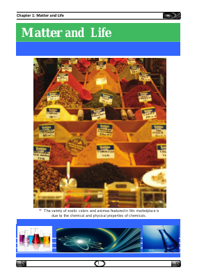 Chemsirt From One.pdf